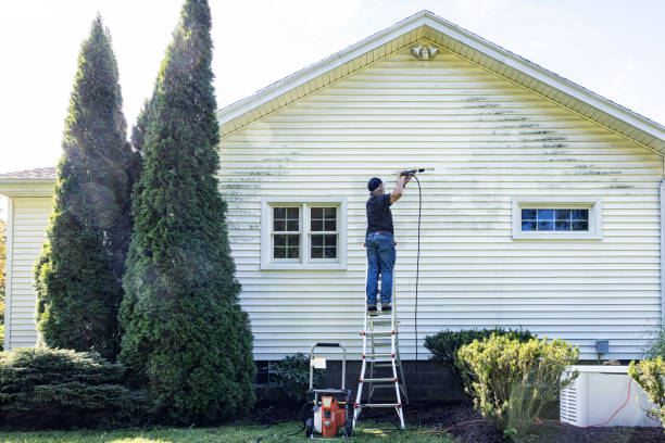 Why Choose Our Certified Pressure Washing Experts for Your Project Needs in Cedaredge, CO?