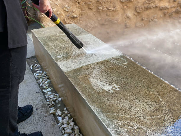Best Pressure Washing Company Near Me  in Cedaredge, CO