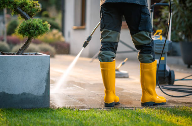 Roof Power Washing Services in Cedaredge, CO